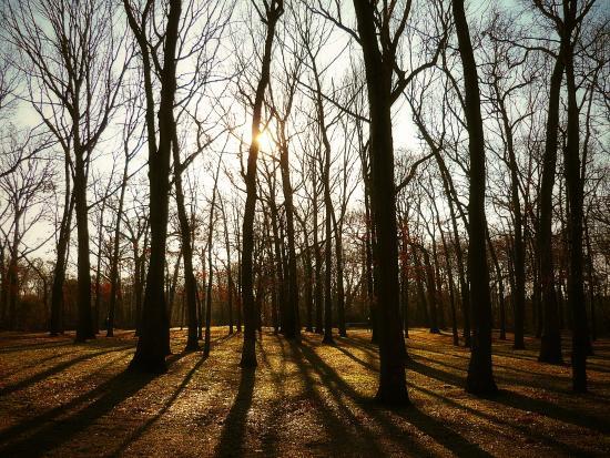 Valley Stream State Park